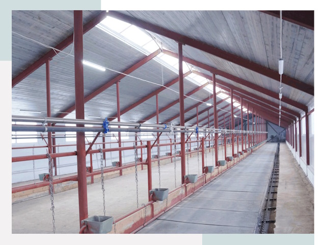 Строительство коровников в Выксе от 622 руб.